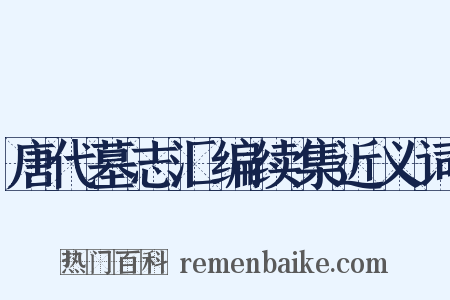 唐代墓志汇编续集近义词是什么意思的图片